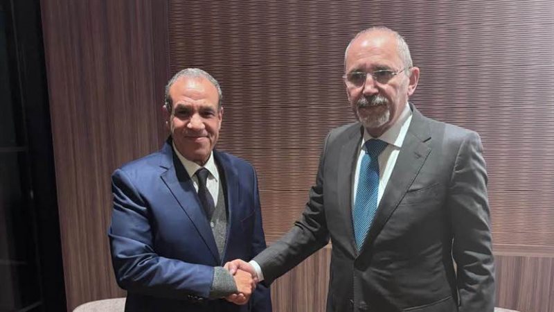 وزيرا خارجية مصر