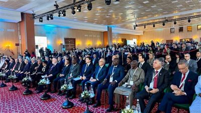 وزير الري يشهد افتتاح 