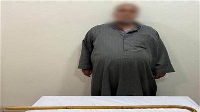 كشف ملابسات تداول فيديو بقيام شخص بالتعدى على قطة بعصا خشبية بالشرقية