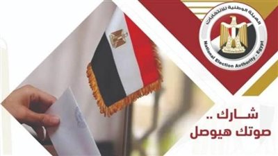 انتهاء اليوم الأول لتصويت المصريين في الأردن بالدوائر الملغاة لانتخابات مجلس النواب