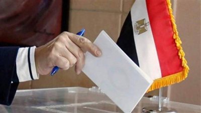 انطلاق تصويت المصريين بالخارج في اليوم الثاني لانتخابات مجلس النواب بالدوائر الـ19 الملغاة ضمن المرحلة الأولى