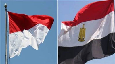 مصر وإندونيسيا تعززان سبل التعاون الاستراتيجي في التحول الرقمي