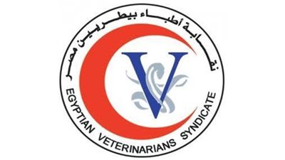 الخميس.. فتح باب تلقى طلبات الترشح لانتخابات التجديد النصفى لنقابة الأطباء البيطريين