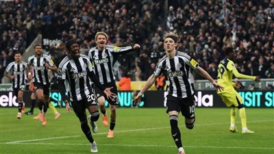 توتنهام يرفض الهزيمة ويخرج بنقطة وحيدة من موقعة نيوكاسل 