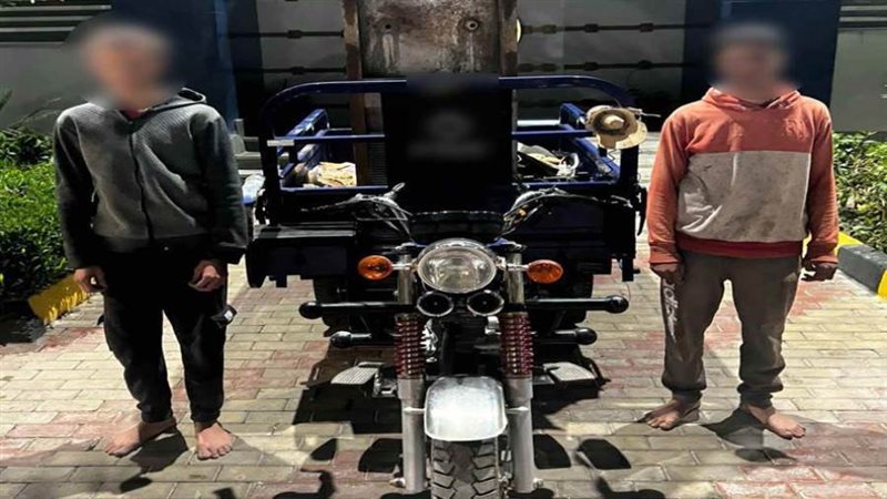 بوابة روز اليوسف