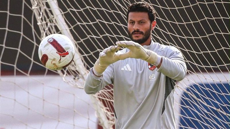 محمد الشناوي