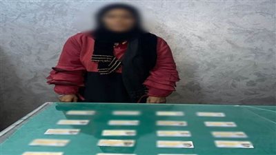 الأمن يضبط سيدة في قنا تسعى للتأثير على أصوات الناخبين عبر تجميع بطاقاتهم