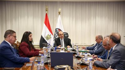 وزير قطاع الأعمال يتابع مؤشرات الأداء والموقف التنفيذي للمشروعات