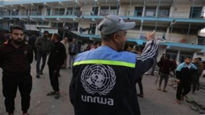 تجديد ولاية 