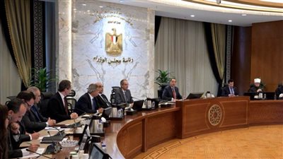 تعرف على تفاصيل اجتماع الحكومة للتصدى للشائعات
