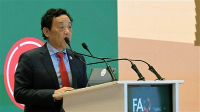 المدير العام لـ