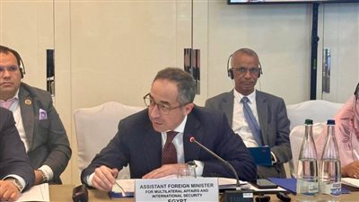 مساعد وزير الخارجية: الهجرة أصبحت ظاهرة عابرة للحدود تتطلب استجابة جماعية