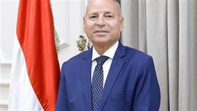 القاهرة تنشئ أول شلتر رسمي للكلاب الضالة بمنطقة التبين لضمان السلامة العامة