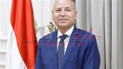 للتخلص من أزمة الكلاب الضالة.. محافظة القاهرة تُخصص أرضًا لإقامة أول شِلتر