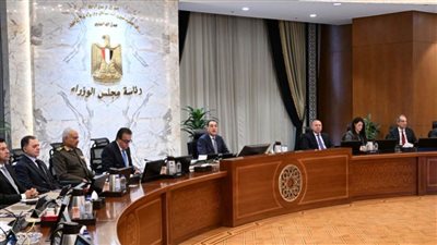 التنمية المحلية تستعرض خطة الحكومة لمواجهة نوبات تلوث الهواء خريف 2025