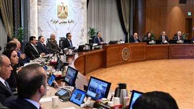 مجلس الوزراء يُوافق على استكمال إجراءات طرح محطات توليد الكهرباء بجبل الزيت