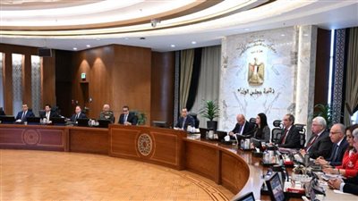 مجلس الوزراء يناقش الوسائل القانونية لتعزيز منظومة التصدي للشائعات والأخبار الكاذبة