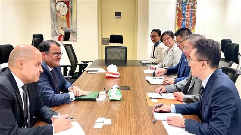 مشاورات مصرية صينية