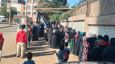 تنسيقية الشباب: المرأة تتصدر المشهد.. إقبال كثيف للناخبين على اللجان الانتخابية بالمنيا