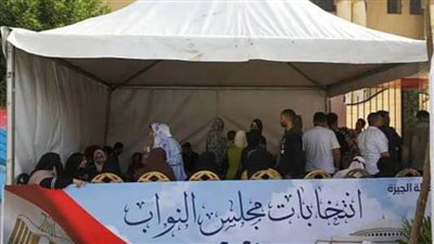 تنسيقية الشباب: المواطنون يتوافدون على اللجان الانتخابية بالجيزة للتصويت في انتخابات النواب 2025