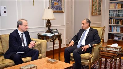 وزير الخارجية يستقبل مدير عام السياسات باللجنة اليهودية الأمريكية