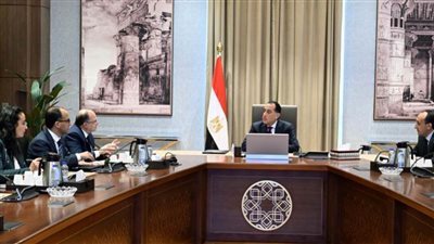 رئيس الوزراء يلتقي رئيس هيئة الدواء المصرية لاستعراض مشروع التتبع الدوائي الوطني