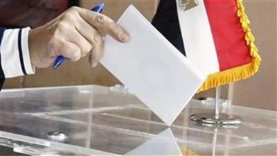 عاجل.. انتهاء الاقتراع في 30 دائرة بانتخابات مجلس النواب وبدء الفرز