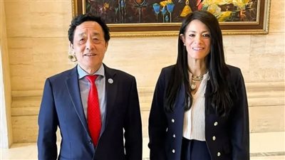 وزيرة التخطيط والتعاون الدولي تبحث مع الـ