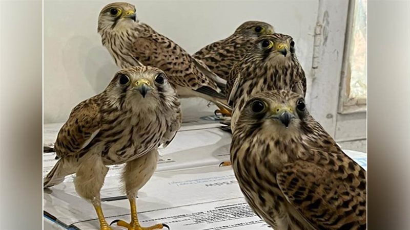 الاتجار غير المشروع