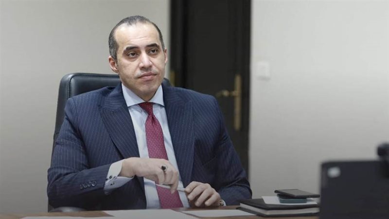 المستشار محمود فوزي