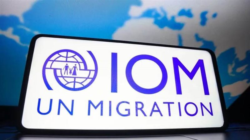 المنظمة الدولية للهجرة