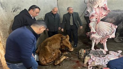 الزراعة تضبط 189 طنًا من اللحوم ومنتجاتها غير المطابقة للاشتراطات الصحية خلال أسبوع