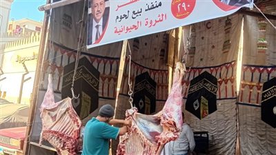 فتح منافذ بيع اللحوم البلدية بسعر 290 جنيهًا في أسيوط لتخفيف الأعباء عن المواطنين 