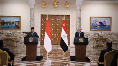 الرئيس السيسي: منطقة لوجيستية بين إندونيسيا ومصر