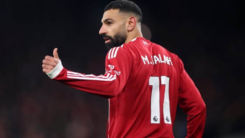 النجم المصري محمد