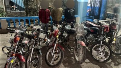 ضبط 3 تشكيلات عصابية للسرقة بالدقهلية والجيزة 