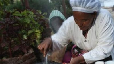 تجارةُ البُخورِ ودورُها في التواصل بين العرب وسكان الساحل الأفريقي