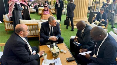 المهندس كريم بدوي يبحث مع نائب وزير المعادن التنزاني سبل تعزيز التعاون المشترك في مجال التعدين