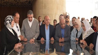 وزير الكهرباء للجنة الطاقة بالبرلمان من أسوان: