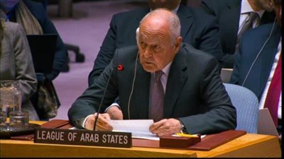 أبو الغيط أمام مجلس الأمن: إهدار الحق الفلسطيني تهديد للسلم الدولي