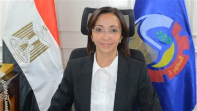 محافظ البحيرة تفتتح 7 معارض 