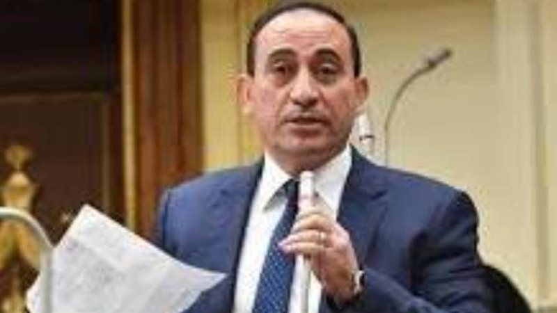 النائب محمد زين