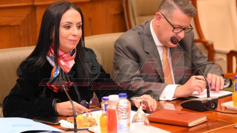 وزيرة التضامن