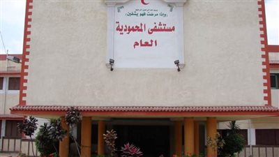 فريق طبى بمستشفى المحمودية المركزى ينجح في إنقاذ حياة شاب سوداني الجنسية 