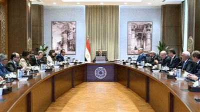 رئيس الوزراء يلتقي مسوؤلي 
