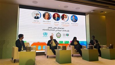 التجربة المصرية في تطوير العشوائيات: نموذج لتحسين جودة الحياة