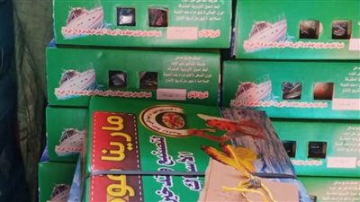  بالصور.. ضبط مواد غذائية منتهية الصلاحية وخل وزيوت مجهولة المصدر بالغربية
