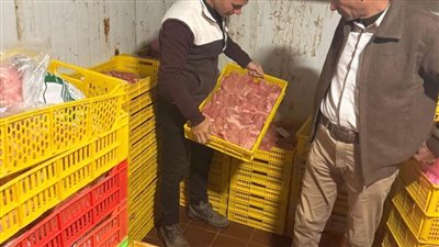 ضبط 3 أطنان دواجن مجهولة المصدر داخل مجزر غير مرخص بالغربية