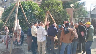 محافظ أسيوط يعلن طرح لحوم طازجة بسعر 290 جنيهًا للكيلو بمنفذ القوصية