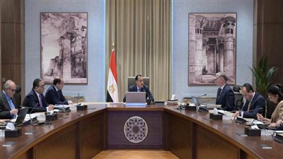 رئيس الوزراء يتابع عددًا من ملفات العمل المشتركة بين وزارتي المالية والبترول والثروة المعدنية